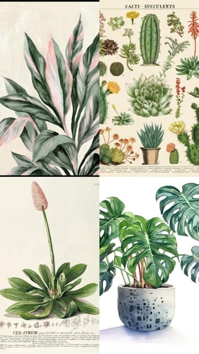 Color Print